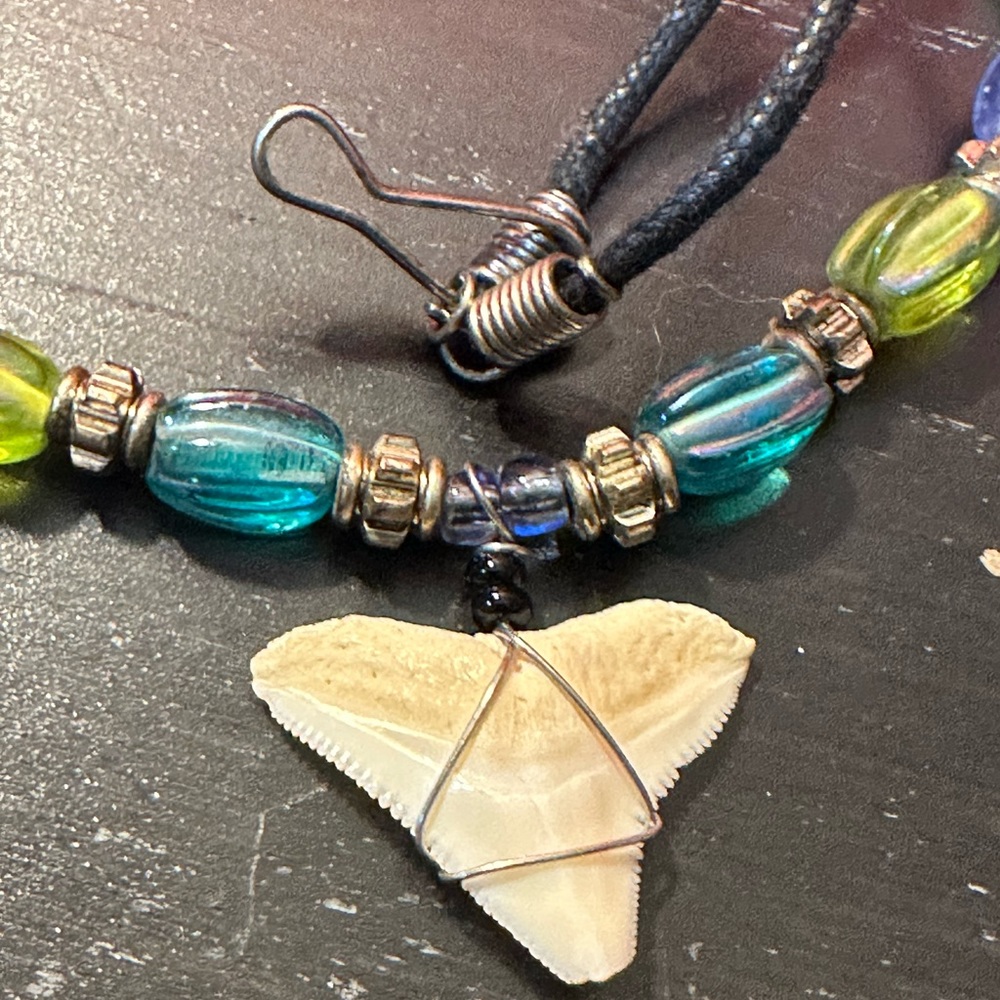 Real Sharks Tooth Necklace